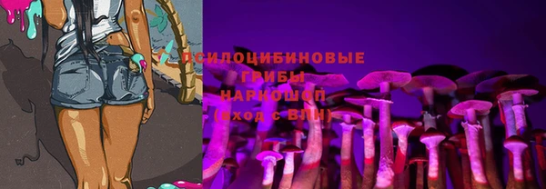 спиды Алексин