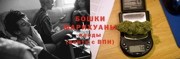ГАЛЛЮЦИНОГЕННЫЕ ГРИБЫ Абаза